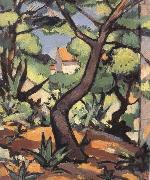 Landscape at Cassis Samuel John Peploe